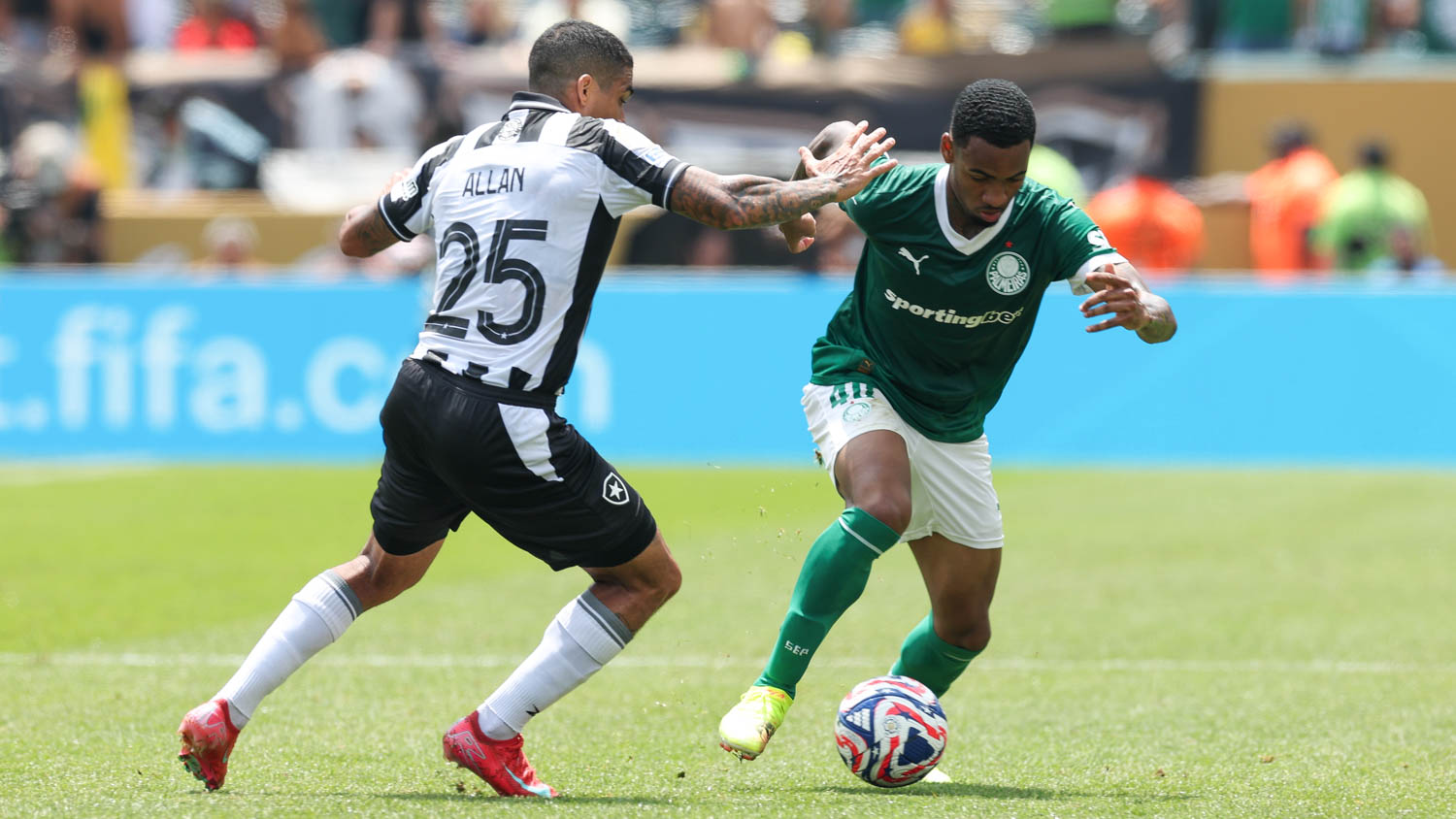 Palmeiras e Botafogo