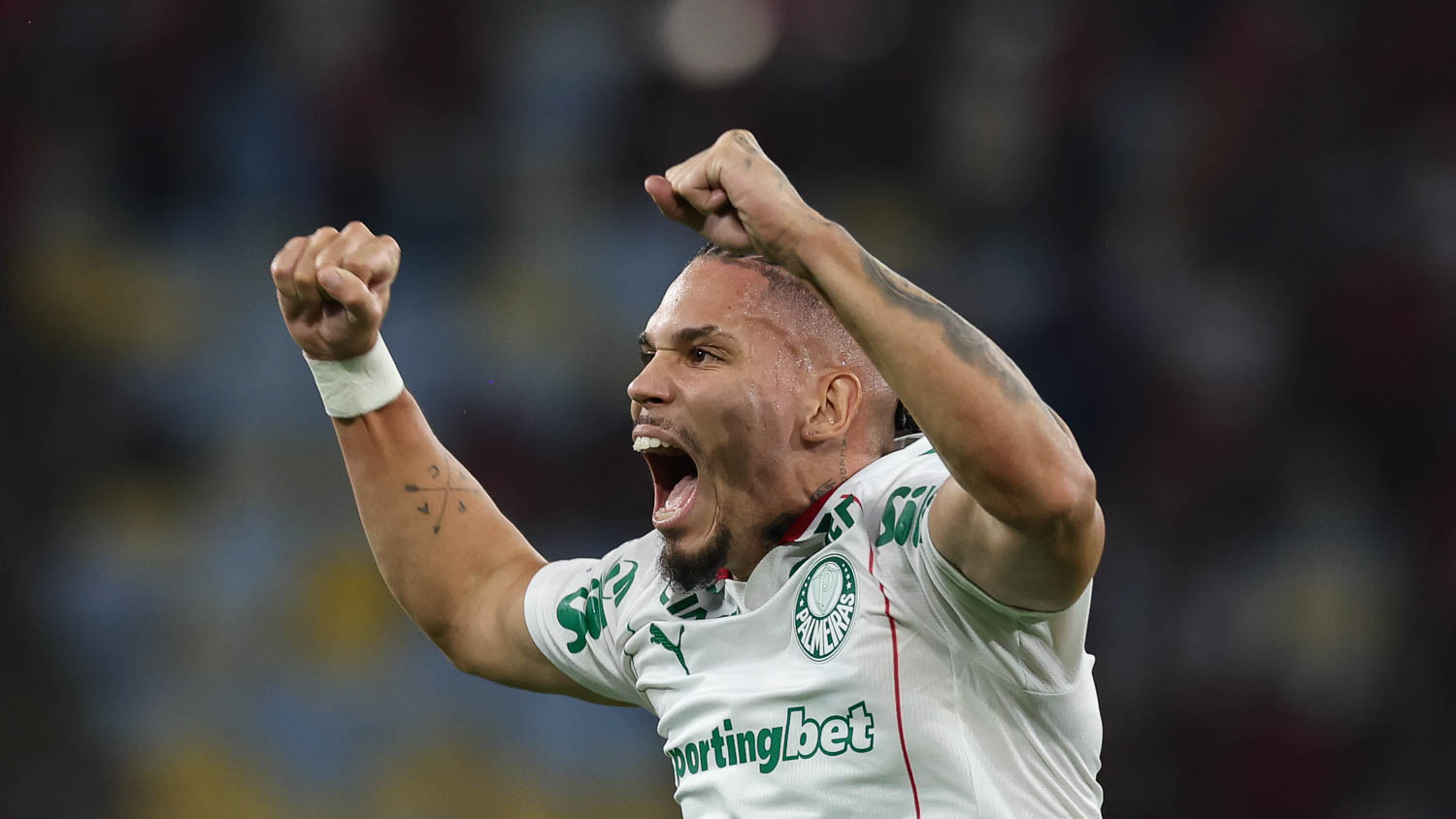 Paulinho, do Palmeiras, comemorando gol marcado contra o Flamengo (Divulgação/Palmeiras)