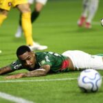 Palmeiras