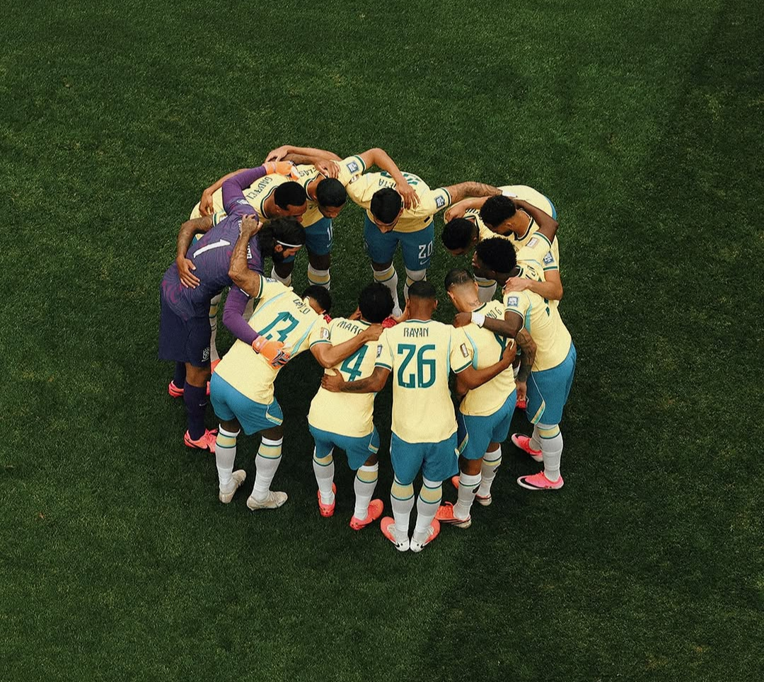Seleção Brasileira, Copa do Mundo
