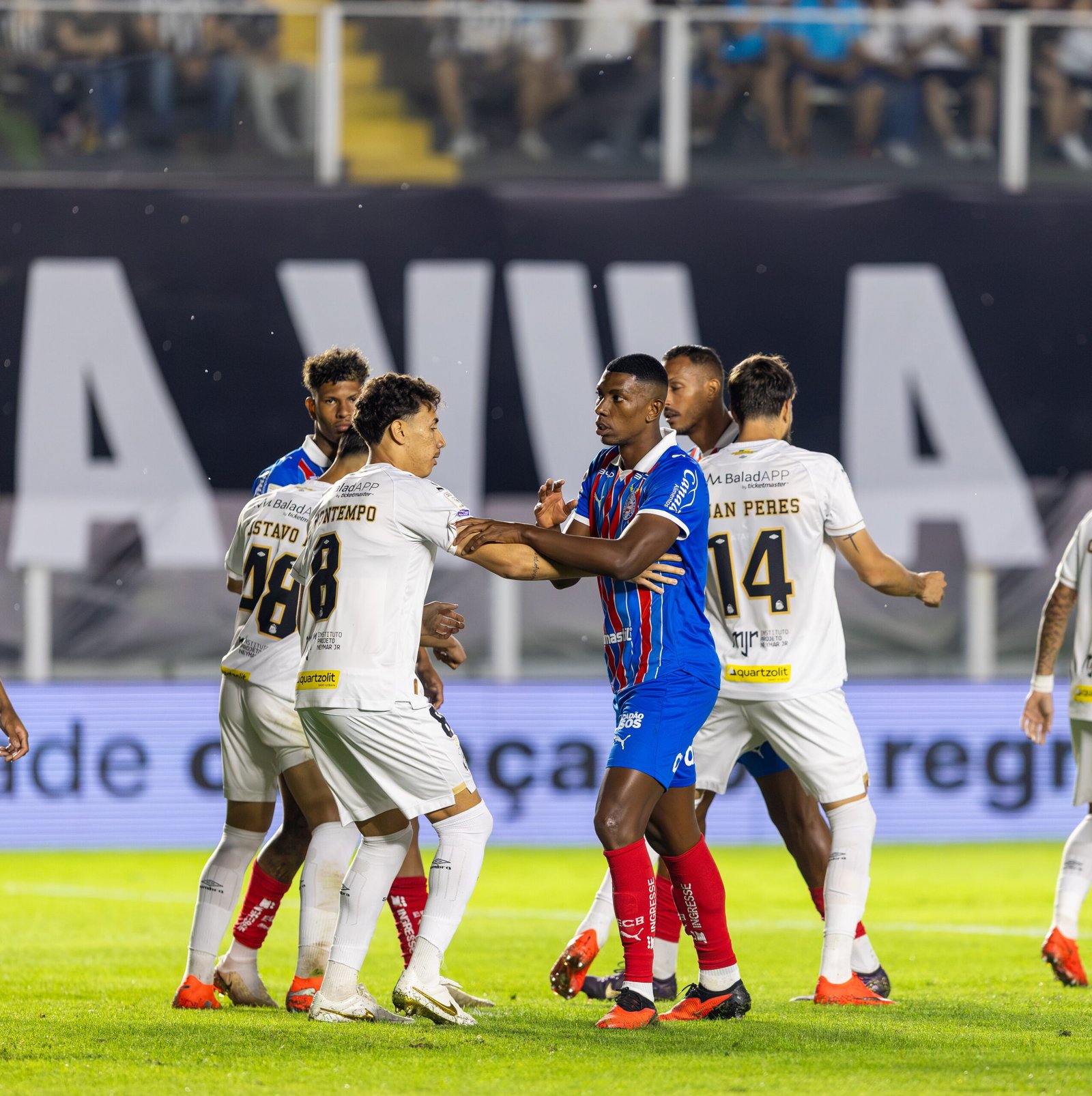 Santos e Bahia pela 32ª rodada do Brasileirão. Foto: Bahia