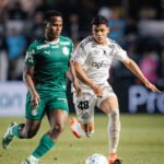 Foto: Raul Baretta/ Santos FC